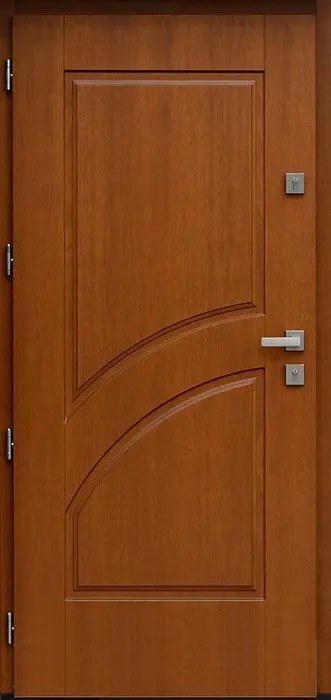 Malaysian skin doors